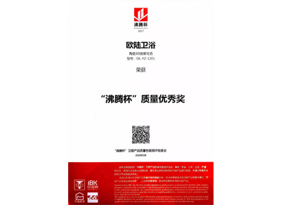 “沸騰杯”質(zhì)量優(yōu)秀獎